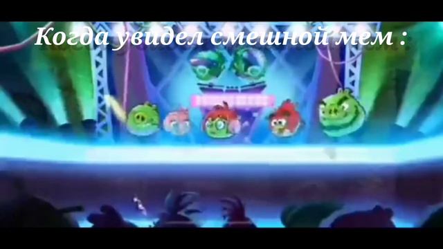 птицы и свиньи из angry birds reloaded жёстко отжигают смотреть онлайн