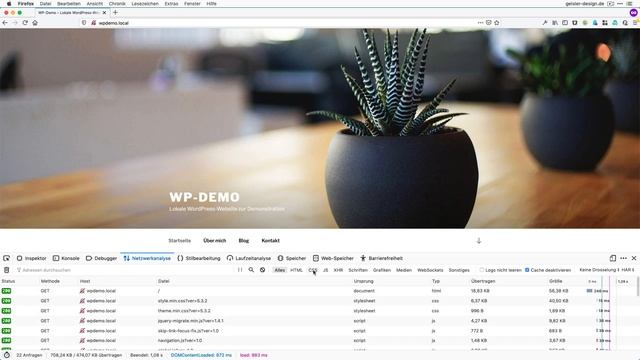 WordPress: Cookies, Google-Fonts смотреть онлайн
