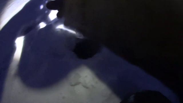 Налим, ещё Налим! Проверка Поставушек.