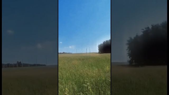 Порт пичуги, место для жизни, участок в продаже : https://novosibirsk.etagi.com/realty_out/9251307/ смотреть онлайн