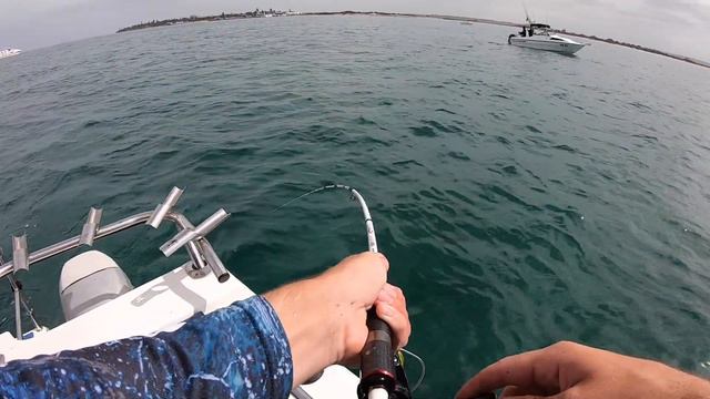 INSANE KINGFISH FISHING смотреть онлайн