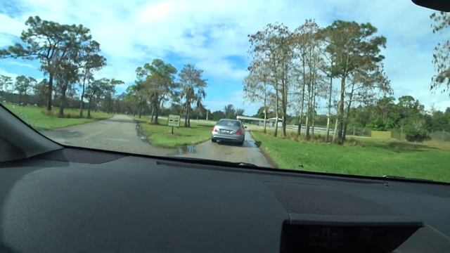 Сафари парк МАЙАМИ- на машине по зоопарку смотреть онлайн