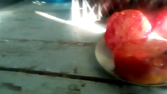 помидор сорт бычье сердце розовый смотреть онлайн