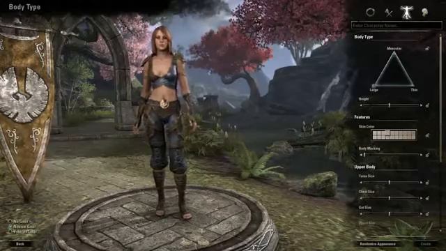 The Elder Scrolls Online. Создание своего героя смотреть онлайн