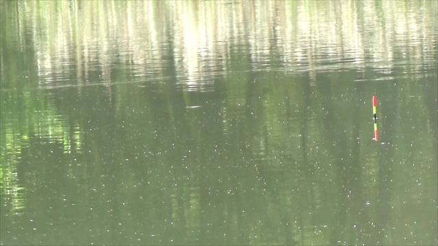 Рыбалка 6 августа на крупного карася на донную херабуну смотреть онлайн