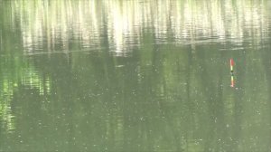 Рыбалка 6 августа на крупного карася на донную херабуну