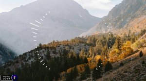 Али Саидов - Шоколадка 2024