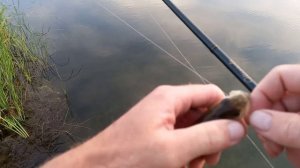 Ловля бомбардой на силикон