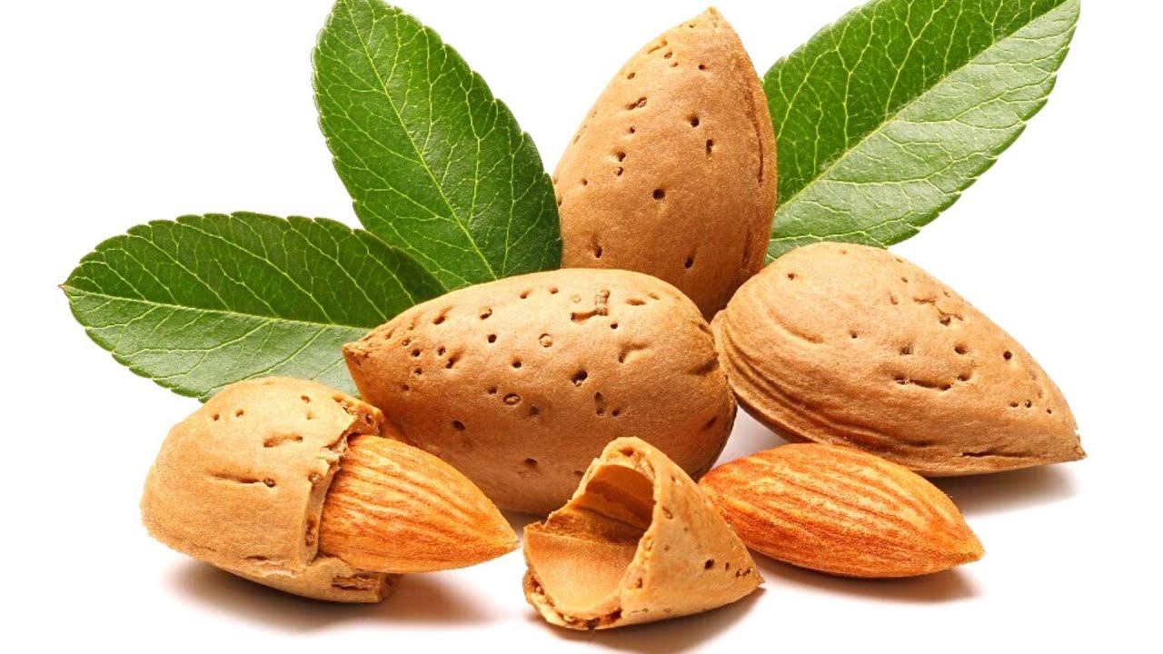 Миндаль | Как его выращивают и собирают смотреть онлайн