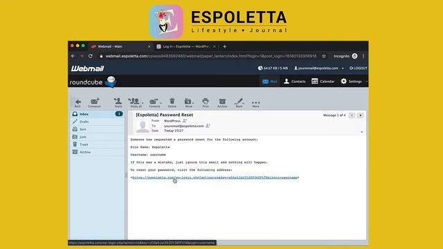 WordPress: Forgot password смотреть онлайн
