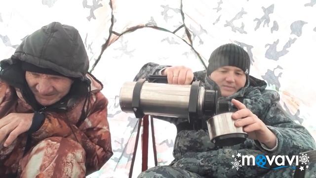 ЗИМНЯЯ РЫБАЛКА 2019/ОКУНЬ СЛОМАЛ НОВУЮ БАЛАЛАЙКУ/winter fishing 2019 Perch!! смотреть онлайн