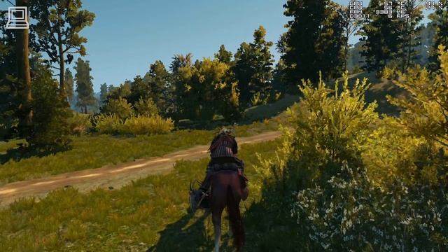 The Witcher 3 Gameplay ATI Mobility Radeon HD 5650