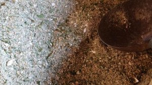 Чем кормить кур весной. Восстанавливаем и повышаем яйценоскость после зимы