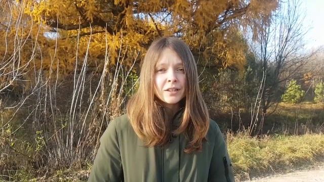 АНДРЕЙ ДЕМЕНТЬЕВ НИ О ЧЕМ НЕ ЖАЛЕЙТЕ | Чтение стихов смотреть онлайн