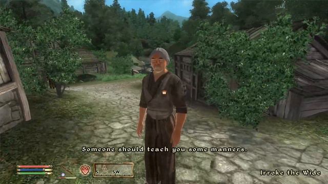 Let's Play Oblivion Again - 08 - Farmer Jonathan смотреть онлайн