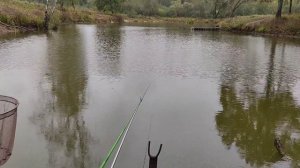 HERABUNA. ОСЕННЯЯ РЫБАЛКА, НАКОНЕЦ НАШЕЛ ОПТИМАЛЬНЫЙ ВИД ЛОВЛИ ДЛЯ СЕБЯ.