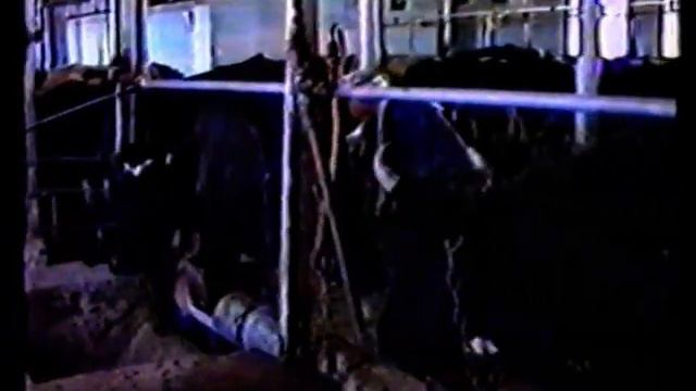 совхоз техникум