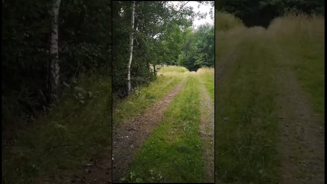 Стаффбумер. смотреть онлайн