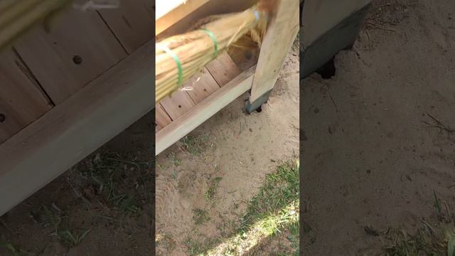 Из обычных досок получаем скамейку с пергалой в норвежском стиле. Часть вторая.