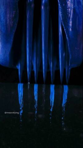 Иглы татуировочной машинки впрыскивают чернила в баллистический гель. смотреть онлайн