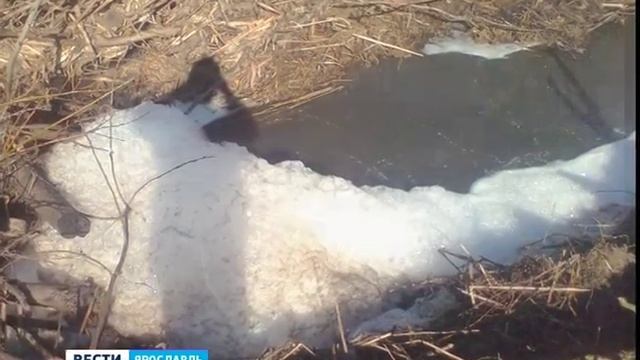 В приток Волги попали опасные сточные вод смотреть онлайн