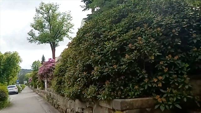 Bad Elster 06 2020 смотреть онлайн