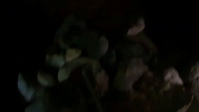 Великий Новгород 3серия " Витославлицы или Жили-Были". Июль 2022г смотреть онлайн