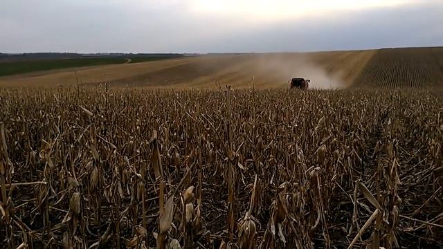Case 2388 на збиранні кукурудзи весною,березень 2018 року смотреть онлайн