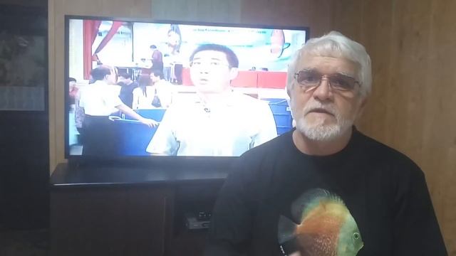 Советы начинающим 4 ( Перец на дискусах). смотреть онлайн