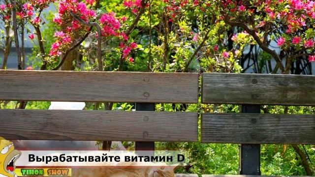 12 способов начать жить в свое удовольствие! смотреть онлайн