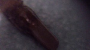 Как рожают тараканы