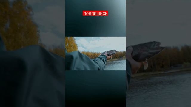 РЫБАЛКА НА ФОРЕЛЬ #fishing #рыбалка #рыбалка2023 #лëд #shorts #форельвдуховке #форель #щука смотреть онлайн