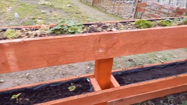 Вертикальные грядки для клубники, земляники.2 смотреть онлайн