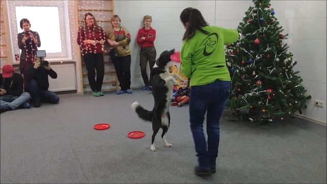 Рождественская Ёлка 2019 ? смотреть онлайн
