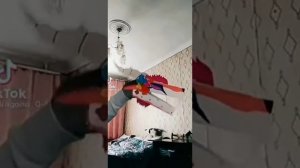 Драконы из тик тока ?|| подборка драконов из тт!