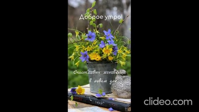 утро 19.06 смотреть онлайн