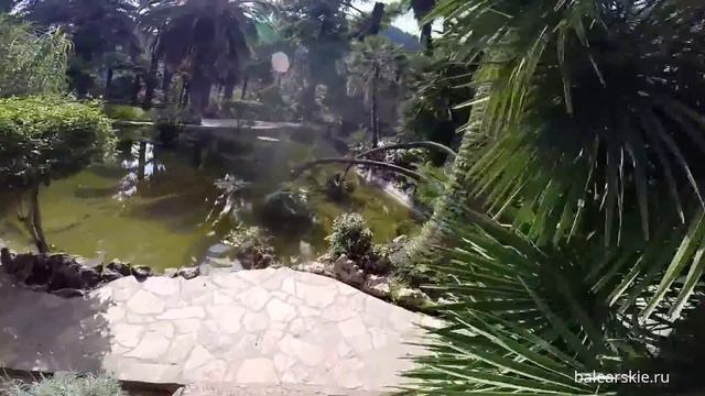 Сады Alfàbia, Майорка