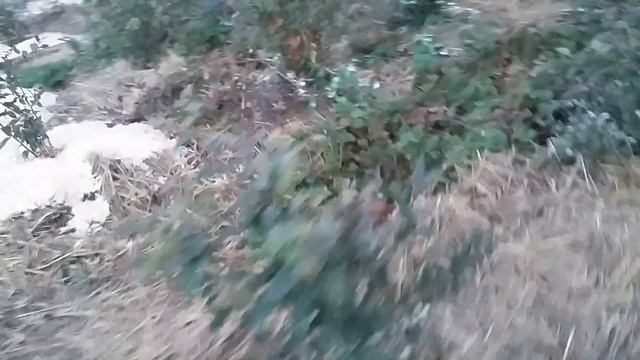 Голубика.октябрь 18. Сера. смотреть онлайн