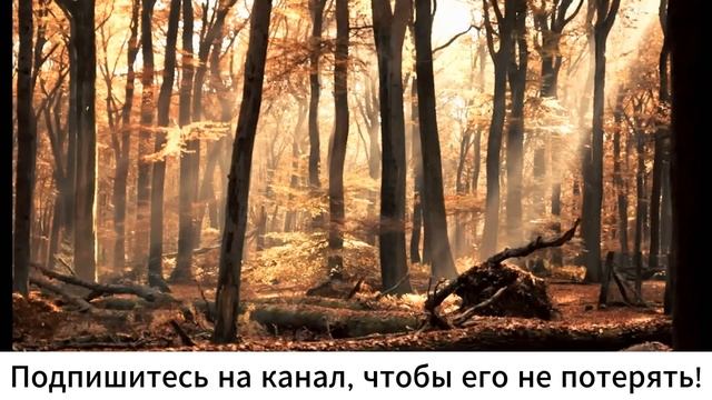 Истории из жизни. 