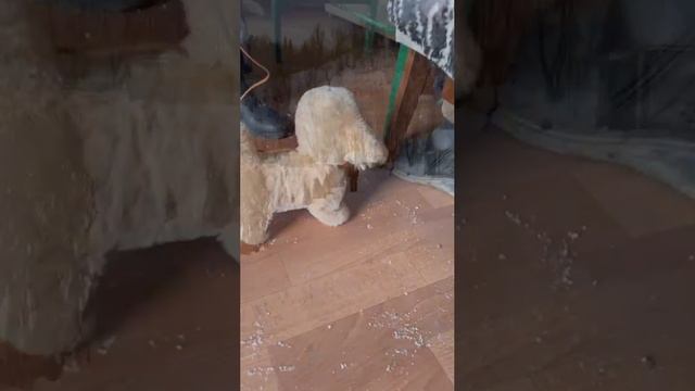 "Морозко" смотреть онлайн