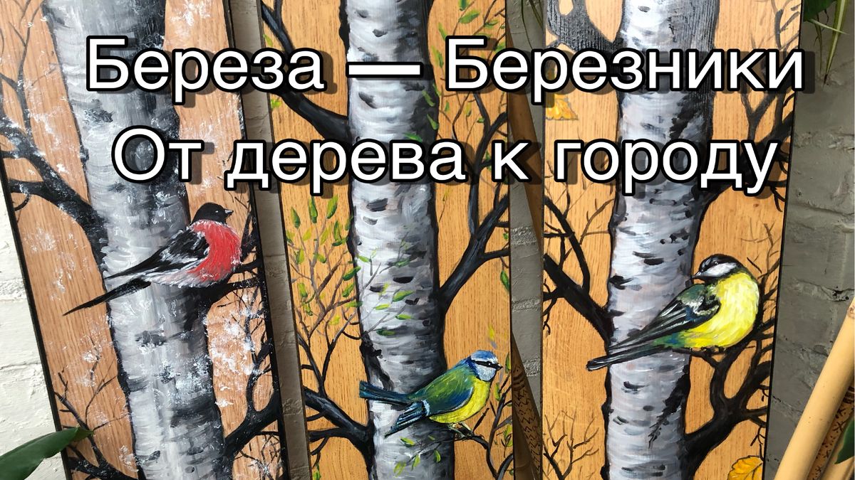 Берёза. Березники. От дерева к городу.