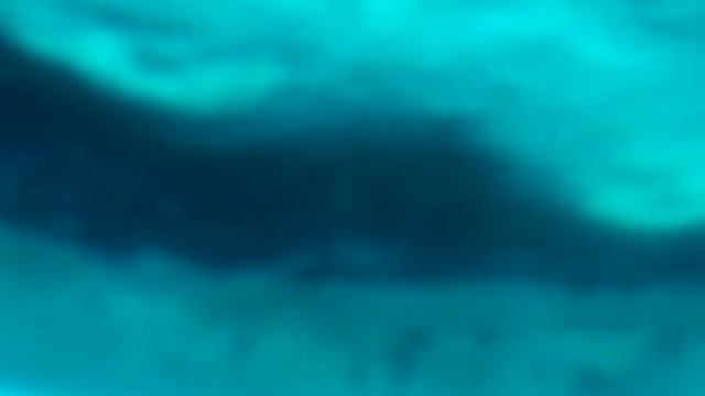 Прогулка на катере Тала Бей смотреть онлайн