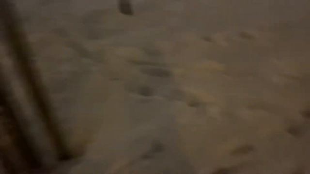 Зимняя прогулка с французским бульдогом Сэмом