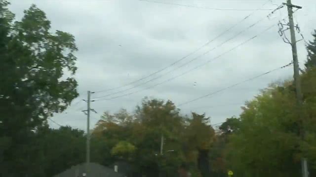 Vlog: Канадская ОСЕНЬ, КРАСОТАААА... Сауна!! смотреть онлайн