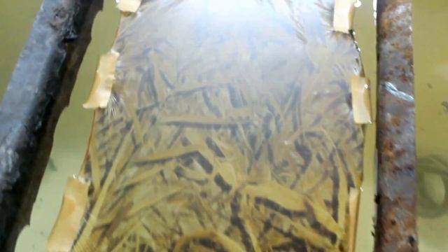 Красим ружье в камуфляж. Аквапринт- камыш смотреть онлайн