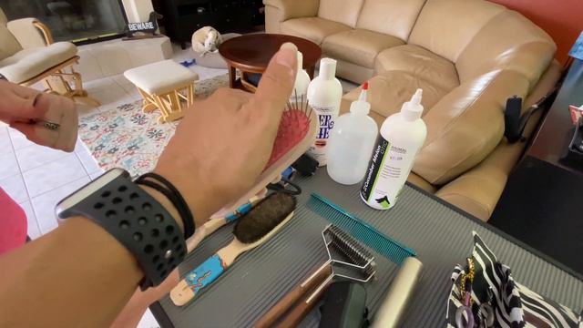 Dog Show Grooming: How to Groom a Longhaired Dachshund & the Supplies You Need смотреть онлайн