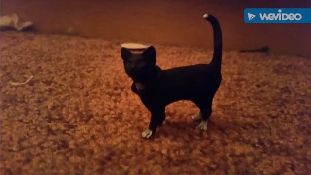 my schleich wild herd and other animals смотреть онлайн