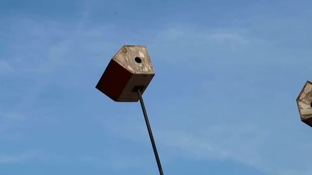 Canon G7 X Mark II Video Sample 03 смотреть онлайн