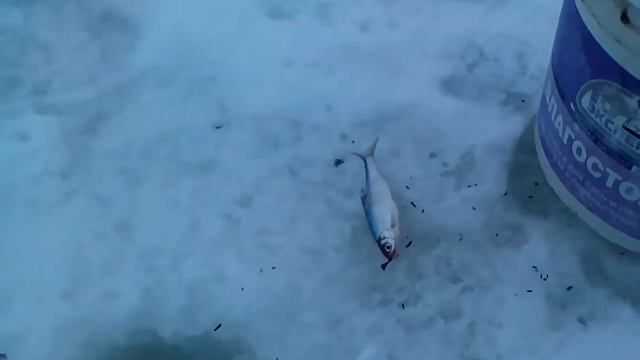 Поплавочная удочка рулит смотреть онлайн