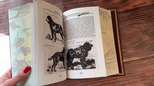 Леонид Сабанеев. Все об охоте. смотреть онлайн